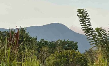 Casa moderna, rodeada de naturaleza