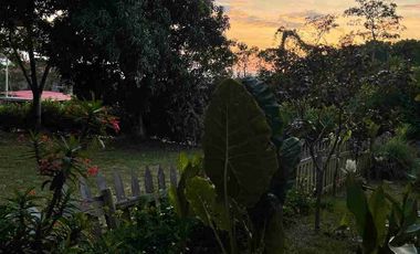 Casa moderna, rodeada de naturaleza