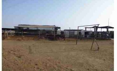 VENTA DE TERRENO DE 15,150 mts2-FUNDO SANTA GENOVEVA-LURIN