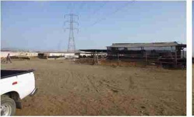 VENTA DE TERRENO DE 15,150 mts2-FUNDO SANTA GENOVEVA-LURIN