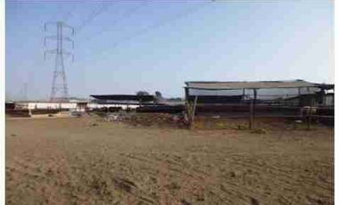 VENTA DE TERRENO DE 15,150 mts2-FUNDO SANTA GENOVEVA-LURIN