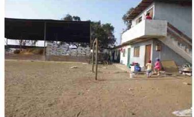 VENTA DE TERRENO DE 15,150 mts2-FUNDO SANTA GENOVEVA-LURIN