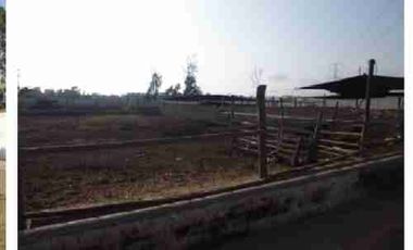 VENTA DE TERRENO DE 15,150 mts2-FUNDO SANTA GENOVEVA-LURIN