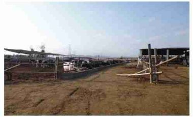 VENTA DE TERRENO DE 15,150 mts2-FUNDO SANTA GENOVEVA-LURIN