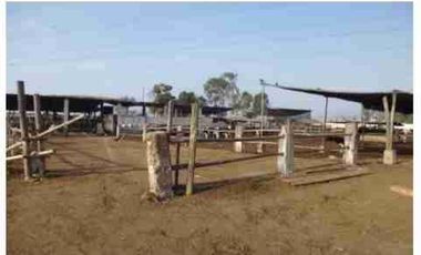 VENTA DE TERRENO DE 15,150 mts2-FUNDO SANTA GENOVEVA-LURIN