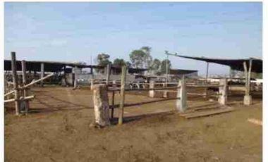 VENTA DE TERRENO DE 15,150 mts2-FUNDO SANTA GENOVEVA-LURIN