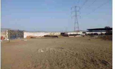 VENTA DE TERRENO DE 15,150 mts2-FUNDO SANTA GENOVEVA-LURIN