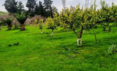 Parcela de Agrado en Pihuchén Alto – Comuna de Marchigüe