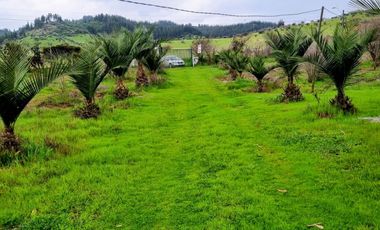 Parcela de Agrado en Pihuchén Alto – Comuna de Marchigüe