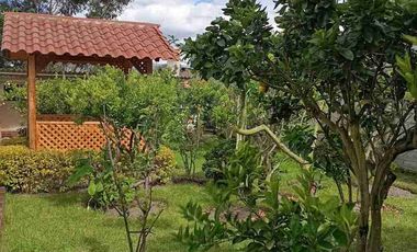 Departamento de arriendo amoblado en Cotacachi