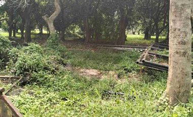 DI JUAL TANAH STATEGIS DI TAMAN GOLF SELATAN JABABEKA RESIDENCE