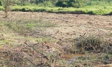 Di JUAL TANAH KAVLING STRATEGIS DI JABABEKA RESIDENCE