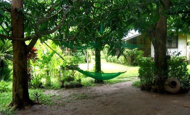 Wide lot with bonus  bungalow house