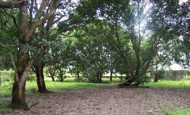 Wide lot with bonus  bungalow house