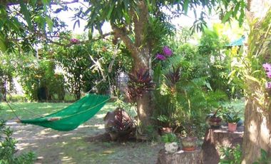 Wide lot with bonus  bungalow house