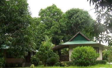 Wide lot with bonus  bungalow house