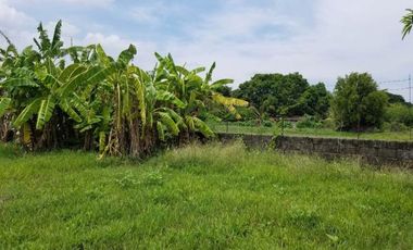 Wide lot with bonus  bungalow house