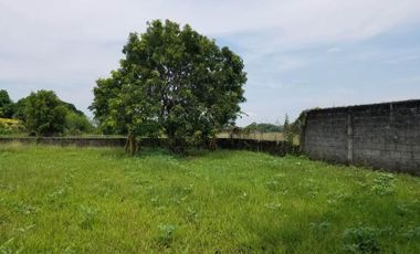 Wide lot with bonus  bungalow house