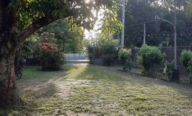 Wide lot with bonus  bungalow house