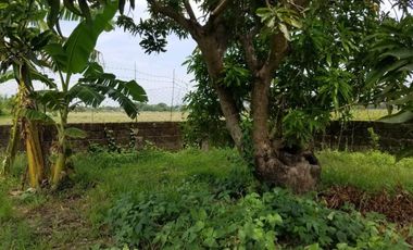 Wide lot with bonus  bungalow house