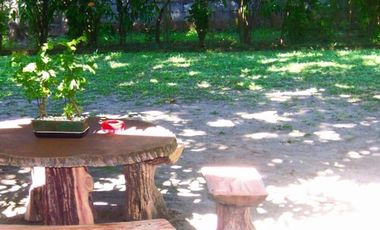 Wide lot with bonus  bungalow house