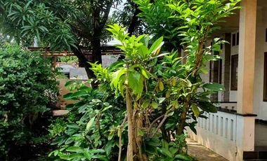 Rumah Asri di Jual 500M2
