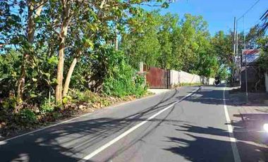 dijual tanah 1 hektar IDR 550 juta per are dekat Savaya pecatu Kuta Selatan Badung Bali
