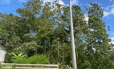 Tanah Kavling Cimahi Dijual, Lokasi Asri dan Nyaman