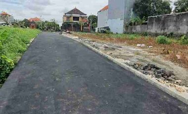 Tanah strategis 1are free pajak padma penatih dkt mall living jl6mtr