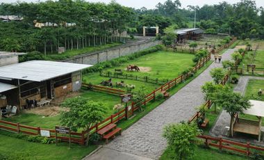 Rumah Murah Lumajang Rp 166 Jutaan | 2 Kamar Tidur, Bisa KPR