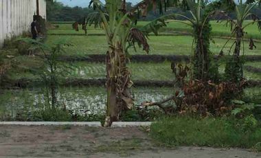 jual tanah bagus untuk gudang ,pabrik showromm.,resto dll