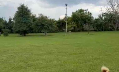 Rancho 5,000 mts 15 min de la ciudad