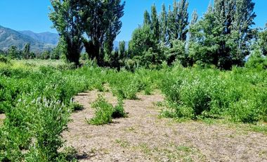 ¡GRAN OPORTUNIDAD DE INVERSIÓN EN LA SEXTA REGIÓN!