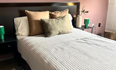 Venta Departamento Amueblado Duplex en Providencia 220 m