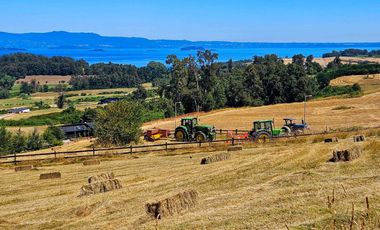 Parcela con Playa y vista al Lago Ranco / Condominio exclusivo