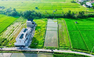 Disewakan Tanah Jl Pantai Kedungu