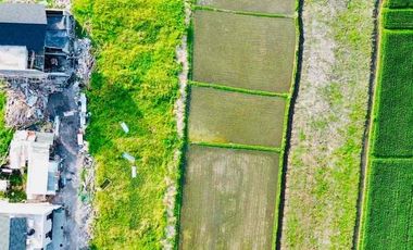 Disewakan Tanah Jl Pantai Kedungu