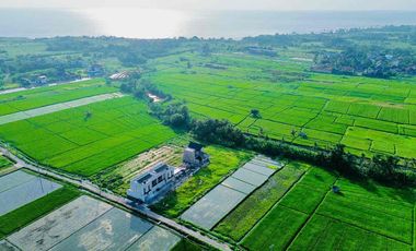 Disewakan Tanah Jl Pantai Kedungu