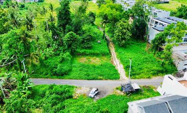 Tanah Sewa Jl Utama Pantai Nyanyi dekat Nuanu