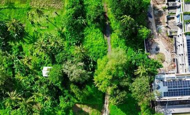 Tanah Sewa Jl Utama Pantai Nyanyi dekat Nuanu