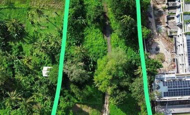 Tanah Sewa Jl Utama Pantai Nyanyi dekat Nuanu