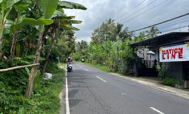 BUC Dijual Tanah strategis dekat dengan objek wisata dan resort ternama Desa Payangan Gianyar.