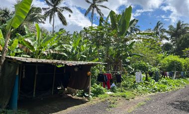 BUC Dijual Tanah strategis dekat dengan objek wisata dan resort ternama Desa Payangan Gianyar.