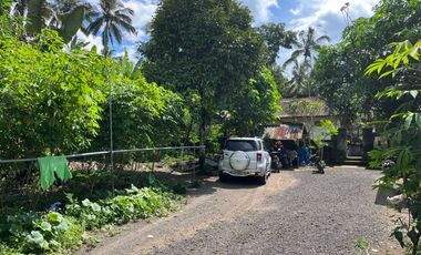 BUC Dijual Tanah strategis dekat dengan objek wisata dan resort ternama Desa Payangan Gianyar.