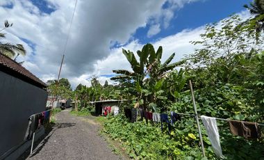 BUC Dijual Tanah strategis dekat dengan objek wisata dan resort ternama Desa Payangan Gianyar.