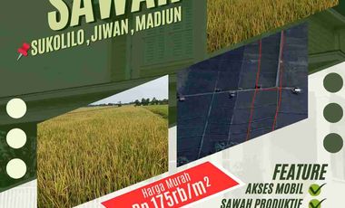 Dijual Tanah Sawah Aktif Di JIWAN Kabupaten Madiun