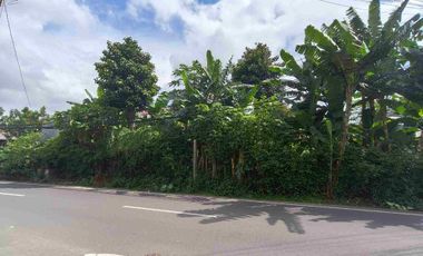 Lahan di Jagakarsa Raya luas 1.460m², dimensi 23 x 66