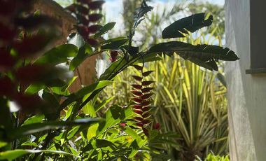 VENTA Casa de Lujo en Barichara | Diseño, Exclusividad y Tranquilidad