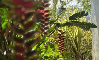 VENTA Casa de Lujo en Barichara | Diseño, Exclusividad y Tranquilidad