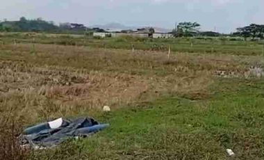 Venta de Terreno en Buijo, Samborondón, cerca de Barranca Grande